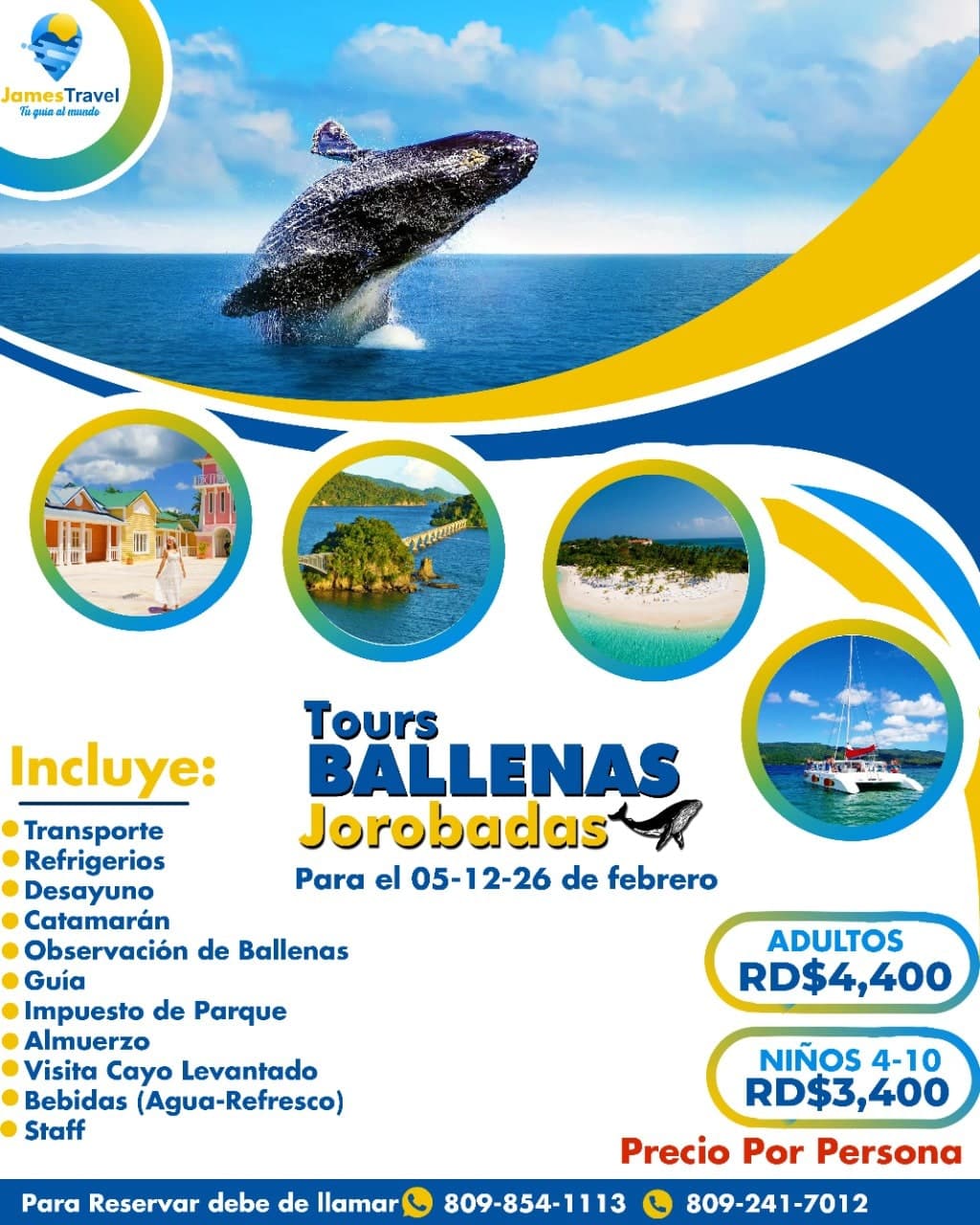 Ballenas jorobadas